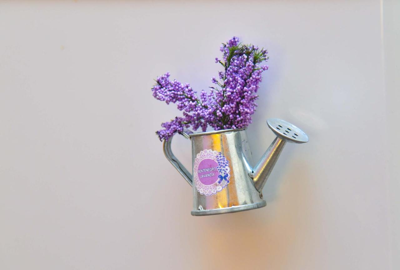 Apartment Golden Lavender Μπούντβα Εξωτερικό φωτογραφία